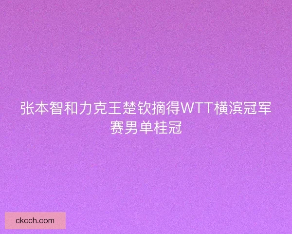 张本智和力克王楚钦摘得WTT横滨冠军赛男单桂冠